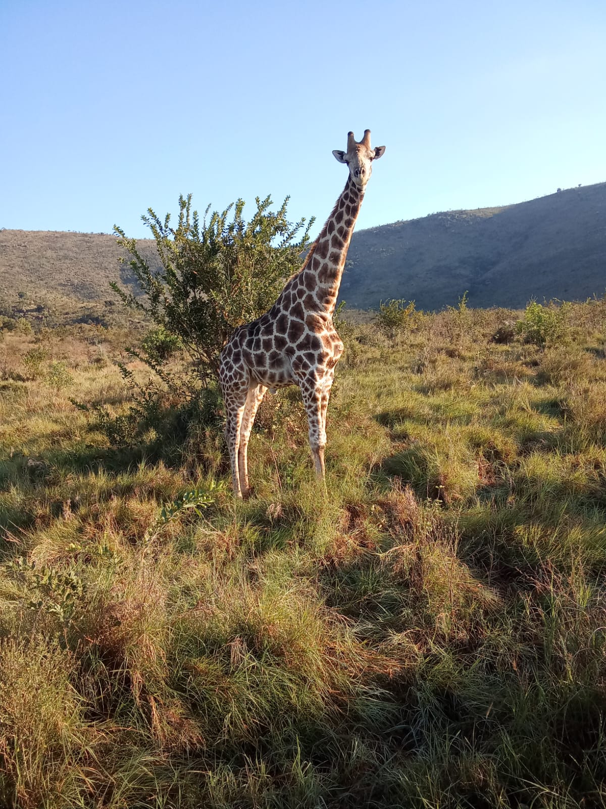 Wildlife Park Adventures