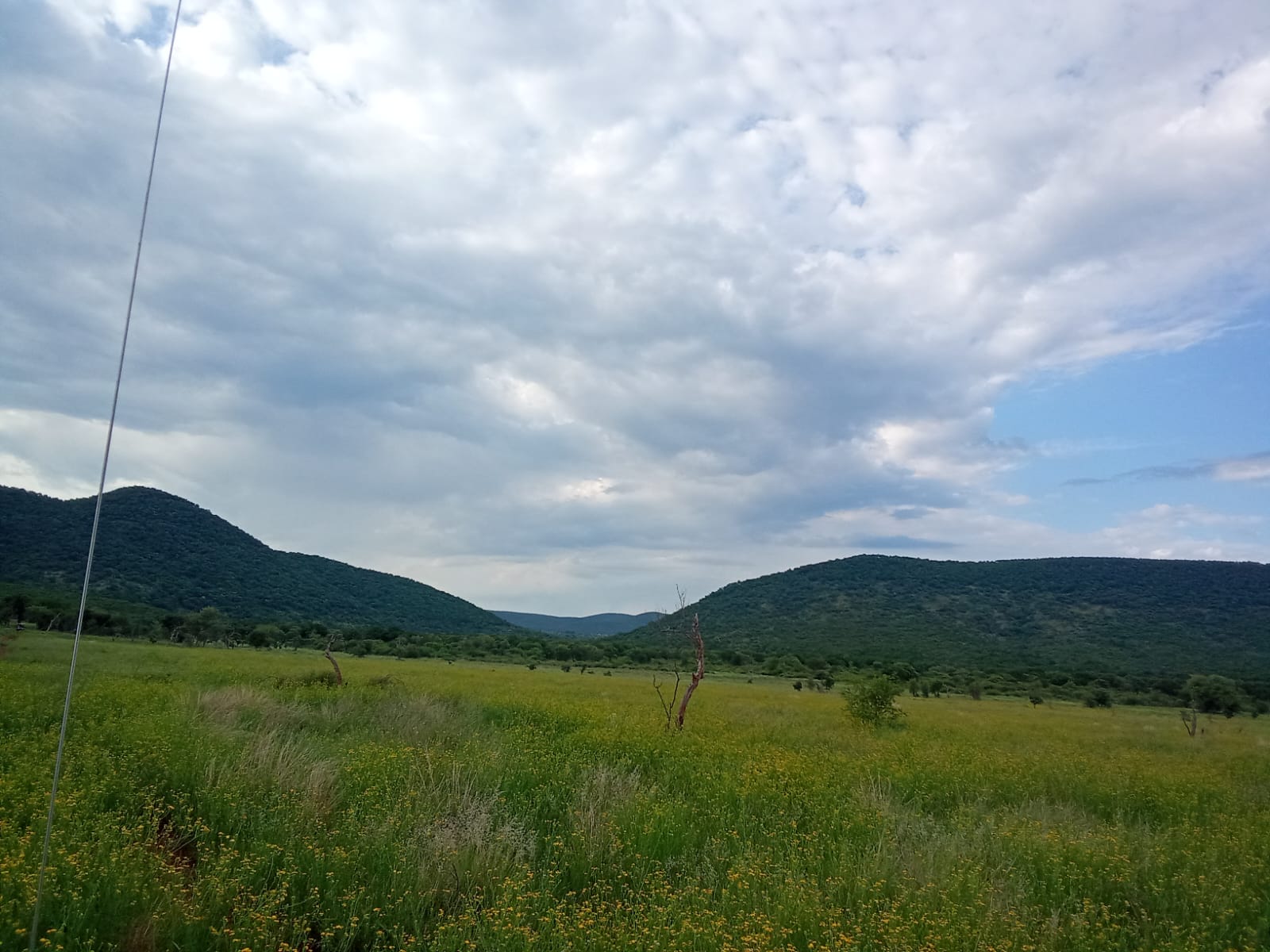 Green Mountain Views